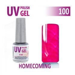 100.UV gel lak na nehty hybridní HOMECOMING 6 ml